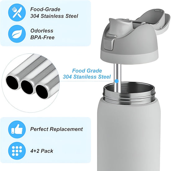 Stainless Steel Straws (Pack of 5)