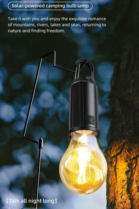 Solar LED Hanging Bulb Light
